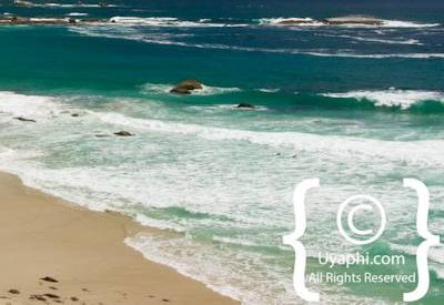 Cape Town Beaches