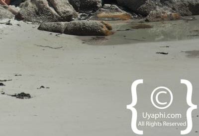 Cape Town Beaches