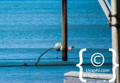 Cape Town whale watching