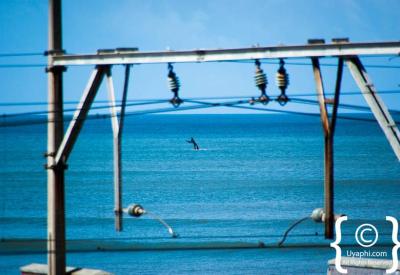 Humpback Whale sighting False Bay Cape Town South Africa whale watching season