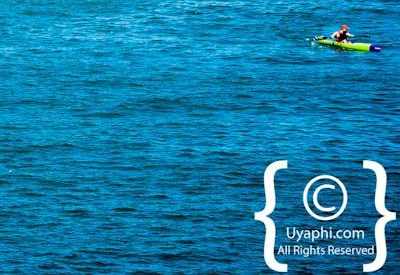 Cape Town whale watching