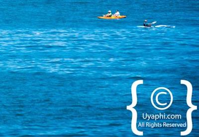 Cape Town whale watching