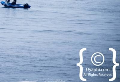 Cape Town whale watching