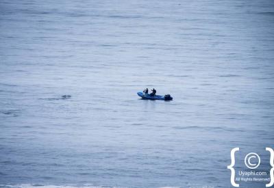 Whale watching from Boyes Drive Kalk Bay False Bay Cape Town South Africa