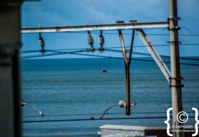 Southern Right Whale breaching False Bay Cape Peninsula Cape Town South Africa