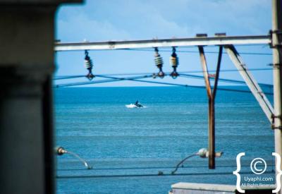 Southern Right Whale tail fluke False Bay whale watching Cape Town South Africa