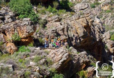 Safety harness and braking system Ceres Zipline Adventure Ceres Western Cape