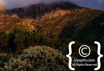 Chapmans Peak Cape Town