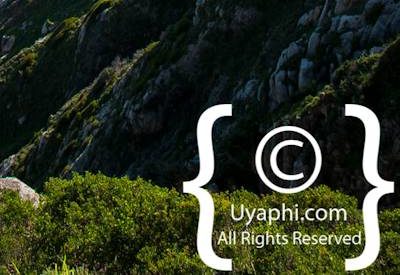 Chapman's Peak Drive