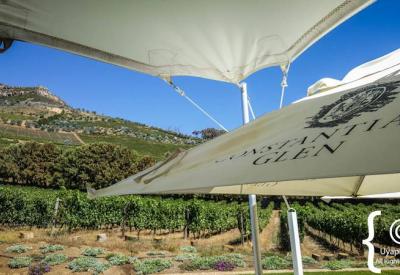 Constantia Glen boutique winery exterior vineyards Constantia Nek Cape Town