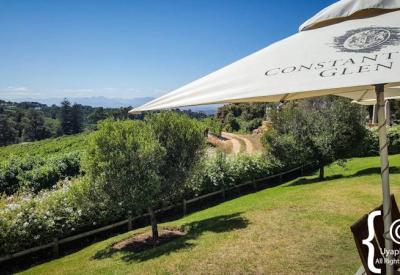 Constantia Glen indoor wine tasting room Constantia Nek Cape Town South Africa
