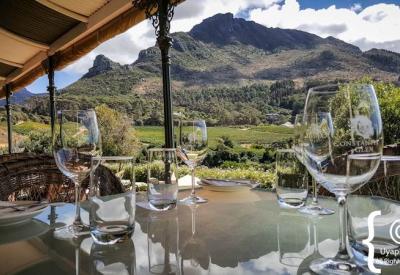 Constantia Glen premium seven-wine tasting selection Constantia Valley Cape Town