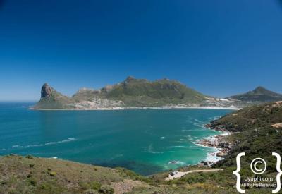 Boat trip to Seal Island Cape fur seals Hout Bay Cape Town South Africa