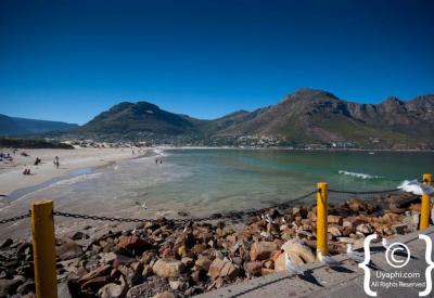 Hout Bay Harbour Market waterfront Cape Peninsula Cape Town South Africa
