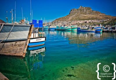 Hout Bay Harbour Market waterfront Cape Peninsula Cape Town South Africa