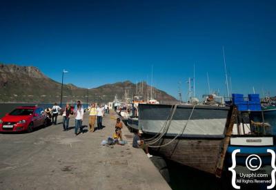 Sea kayaking in Hout Bay Atlantic Ocean Cape Peninsula Cape Town South Africa