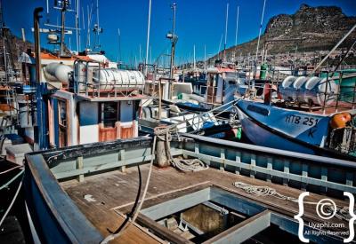 Sea kayaking in Hout Bay Atlantic Ocean Cape Peninsula Cape Town South Africa