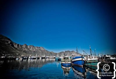 World of Birds sanctuary Hout Bay Cape Peninsula Cape Town South Africa