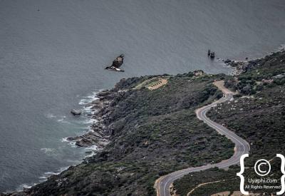 Fresh fish and chips at Hout Bay harbour Cape Peninsula Cape Town South Africa