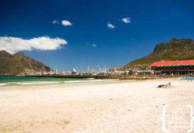 Hout Bay working fishing harbour colourful boats Cape Peninsula Cape Town