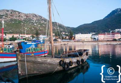 Kalk Bay working fishing harbour panoramic view False Bay Cape Peninsula South Africa