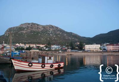 Kalk Bay working fishing harbour panoramic view False Bay Cape Peninsula South Africa