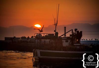 Boyes Drive scenic views over Kalk Bay and False Bay Cape Town South Africa