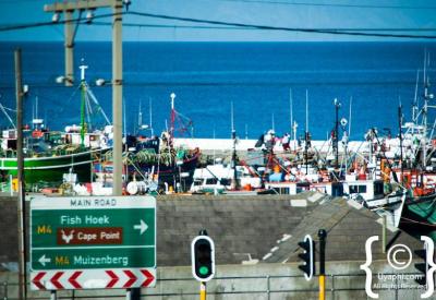 Fishermen at Kalk Bay harbour working fishing village Cape Town South Africa