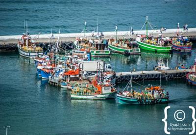 Fishermen at Kalk Bay harbour working fishing village Cape Town South Africa