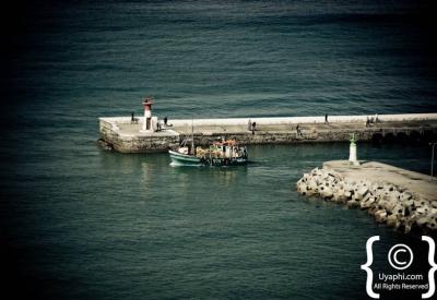 Kalk Bay harbour restaurants Live Bait Harbour House False Bay Cape Town