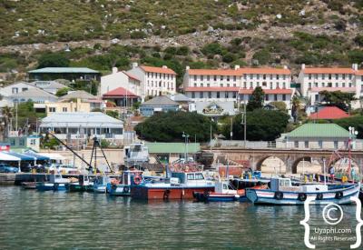 Kalk Bay harbour restaurants Live Bait Harbour House False Bay Cape Town