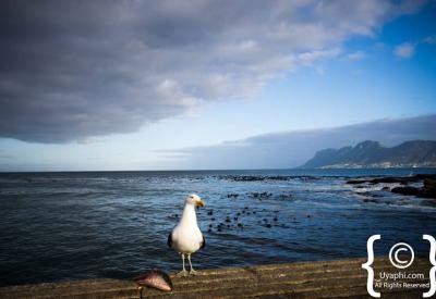 Colourful Kalk Bay village street scenes and Victorian architecture Cape Town