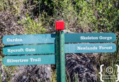 Medicinal plant garden Kirstenbosch National Botanical Gardens Constantia Cape Town