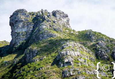 Kirstenbosch Botanical Gardens with Table Mountain backdrop Constantia Cape Town