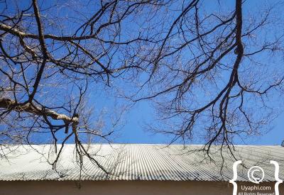 Krone wine cellar and estate Twee Jonge Gezellen Tulbagh Winelands South Africa