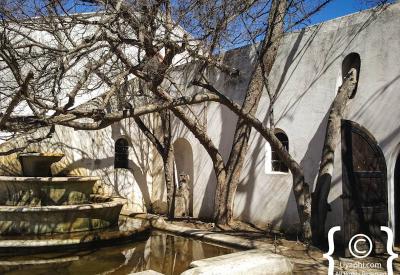 Krone wine tasting under oak trees Twee Jonge Gezellen estate Tulbagh South Africa