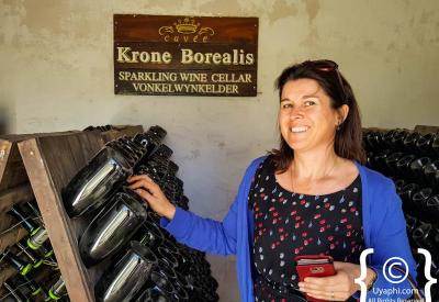 Krone vineyard with Tulbagh mountain backdrop Twee Jonge Gezellen Western Cape South Africa
