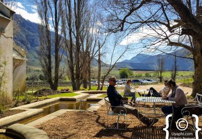 Krone Méthode Cap Classique MCC sparkling wine tasting Tulbagh South Africa