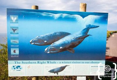 Muizenberg water slides and family attractions False Bay Cape Town South Africa