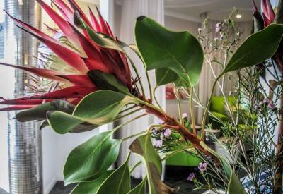 O On Kloof boutique hotel Bantry Bay quiet exclusive accommodation Cape Town South Africa