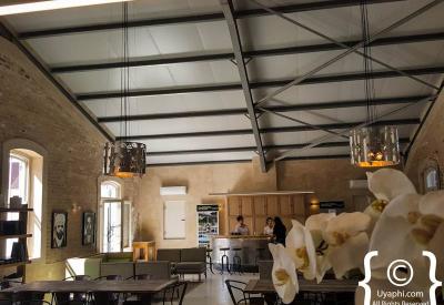 Oakhurst Olive Estate extra virgin olive oil production Tulbagh Western Cape