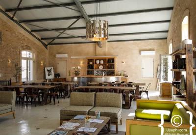 Oakhurst Olive Estate scenic grounds Tulbagh valley mountain backdrop Western Cape