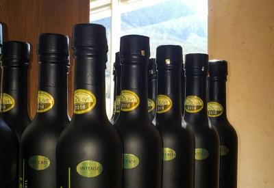 Oakhurst Olive Estate Tulbagh near Krone Twee Jonge Gezellen Western Cape South Africa
