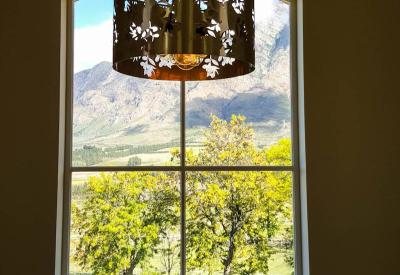 Oakhurst Olive Estate olive groves Tulbagh Western Cape South Africa