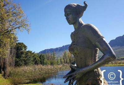 Saronsberg Wine Estate cellar Shiraz Chenin Blanc MCC Tulbagh Western Cape