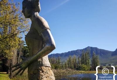Saronsberg Shiraz and MCC Brut wine tasting Tulbagh Winelands Western Cape South Africa
