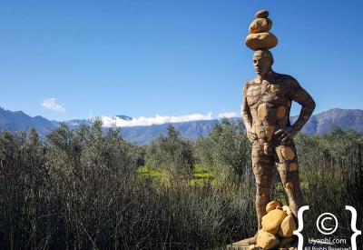 Saronsberg Wine Estate grounds dam vineyards Tulbagh Western Cape South Africa