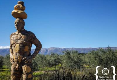 Saronsberg Wine Estate grounds dam vineyards Tulbagh Western Cape South Africa