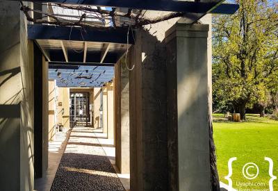 Saronsberg wine tasting area vineyard dam mountain views Tulbagh Western Cape