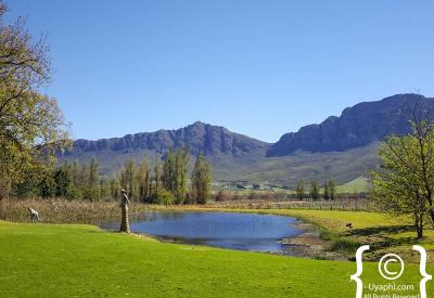 Saronsberg contemporary art gallery Norman Catherine Angus Taylor Tulbagh Western Cape